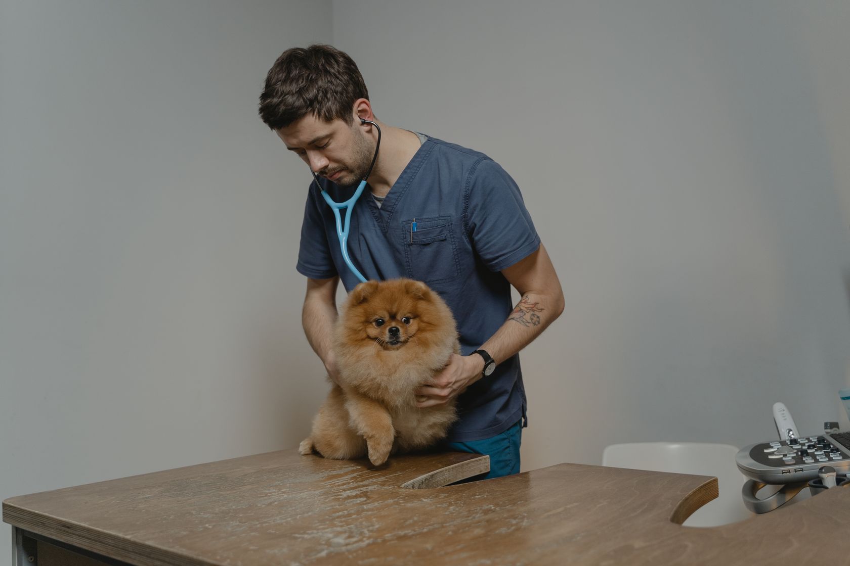 Consulta de nutrición y control de peso de un perro en la clínica veterinaria PetEco de Galapagar