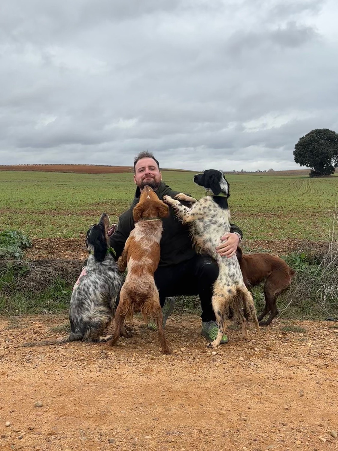 Veterinario cirujano de tejidos blandos y traumatología de PetEco