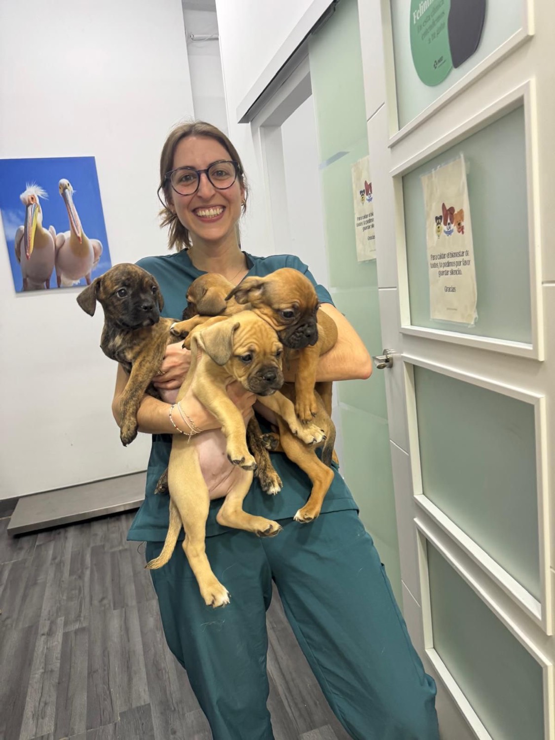 Veterinaria con una camada de cachorros