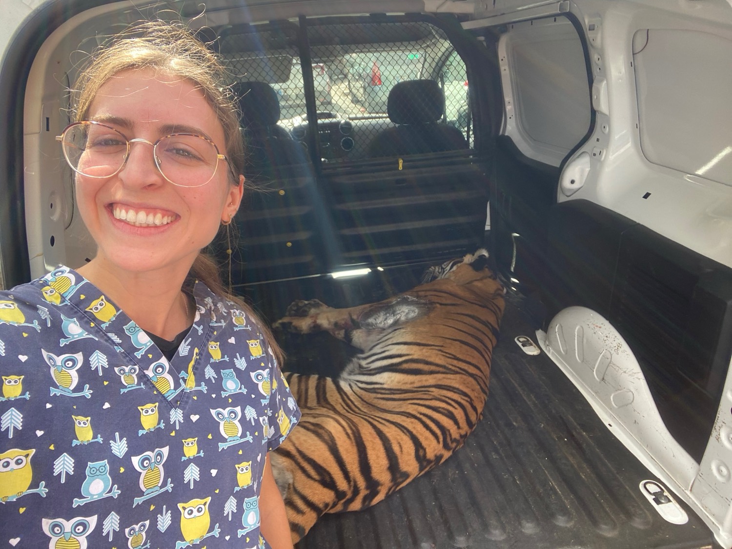 Atención a fauna salvaje